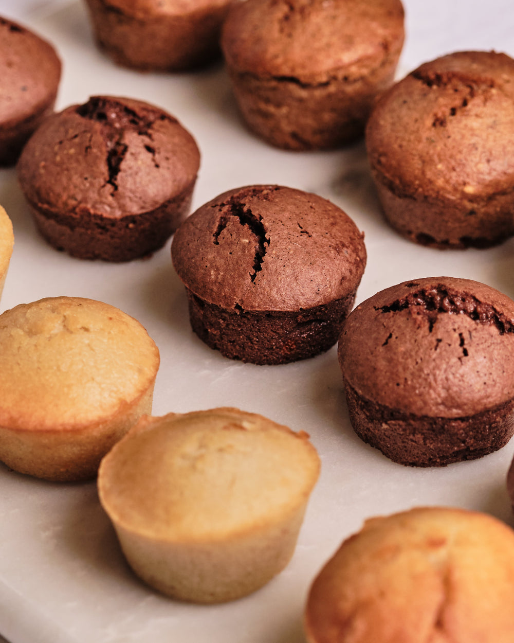 Financiers nature