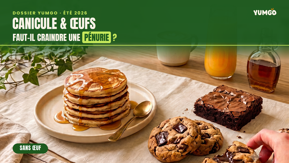 CANICULE & ŒUFS : FAUT-IL CRAINDRE UNE PÉNURIE ?